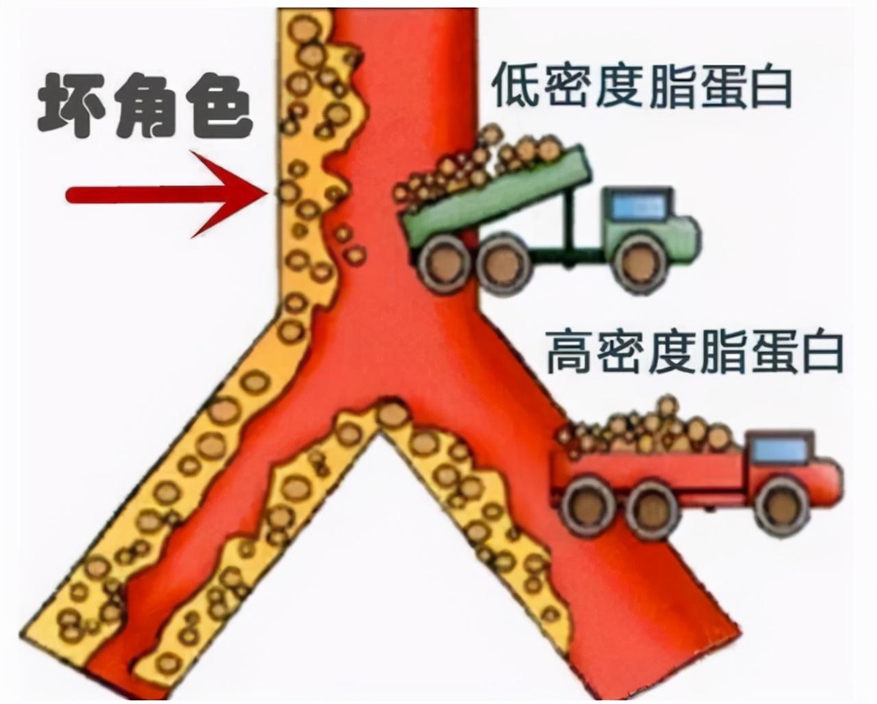 儿童血常规最新参考范围标准概览