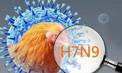 陕西H7N9最新疫情概况与影响分析