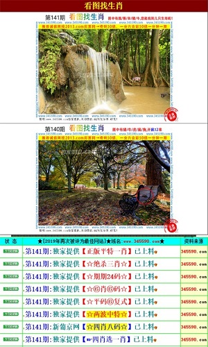 王中王精准资料期期中澳门高手,专业分析解释定义_FT81.224