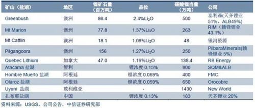 新澳精准资料免费提供510期,统计分析解释定义_豪华款13.575