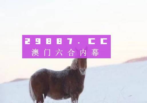 澳门码鞋一肖一码,实地策略计划验证_桌面版40.121