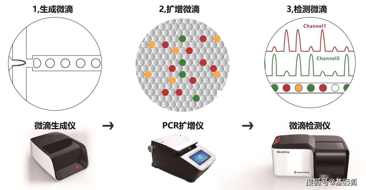 7777788888新版跑狗图解析,新兴技术推进策略_pro93.577