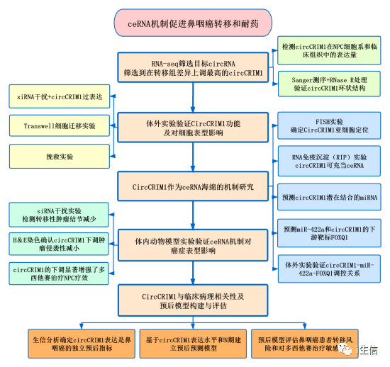 一个人，练习一个人﹌ 第3页