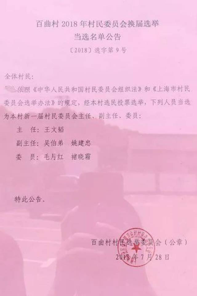 他崖村委会人事任命重塑乡村领导团队，开启社区发展新篇章