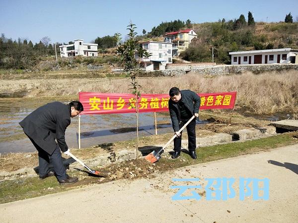 安山乡新项目，乡村发展的璀璨明珠