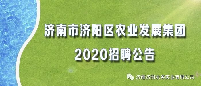 滨城区农业农村局最新招聘概况解读与招聘信息解析