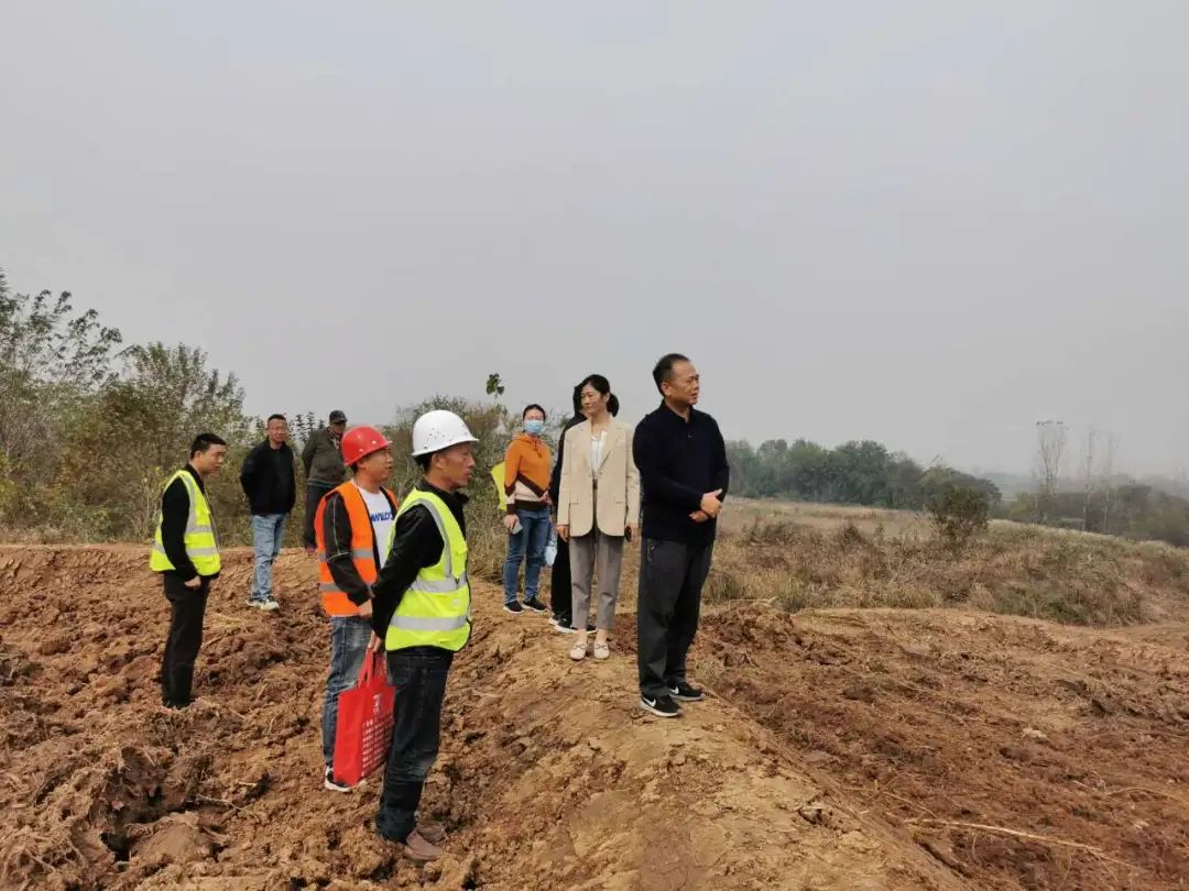 五陵镇新项目，引领地区发展的强大动力源泉