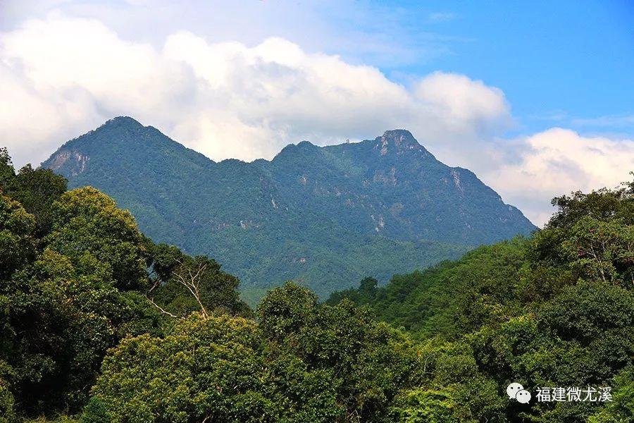 坂面乡重塑乡村面貌，推动可持续发展新规划亮相