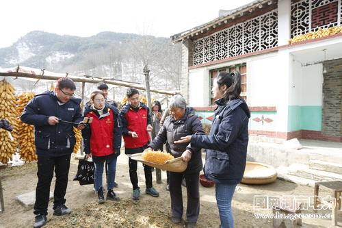 哈加村新面貌，繁荣与发展的乡村新闻