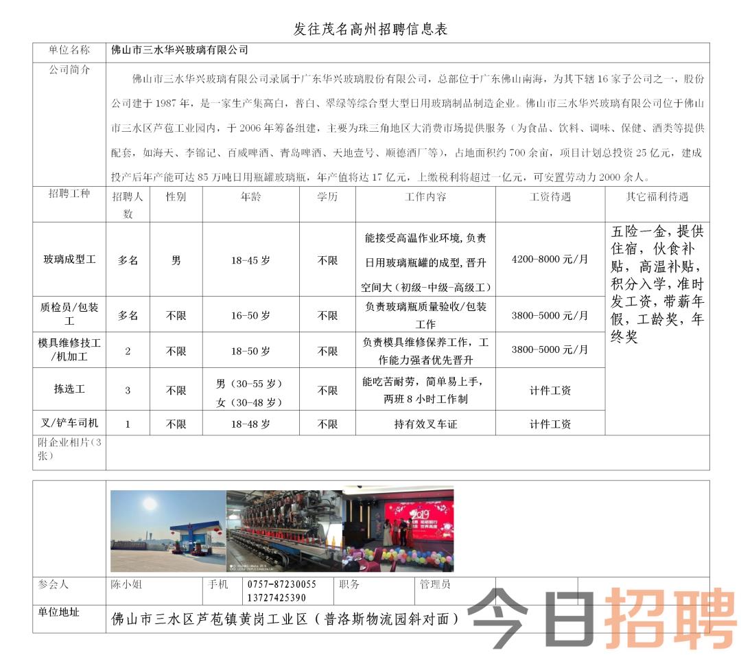 双马村最新招聘信息详解及解读