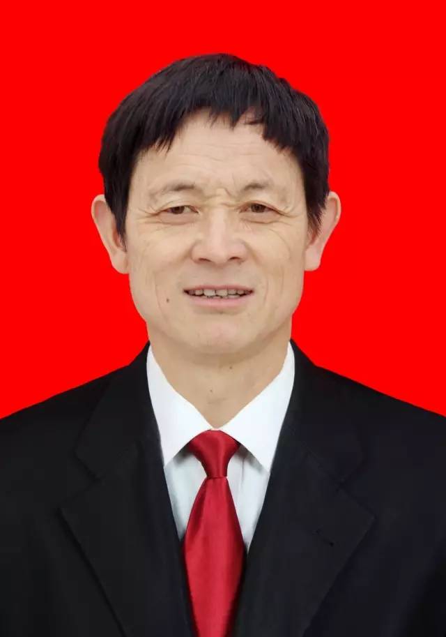 桂溪村新领导，引领乡村发展的核心力量