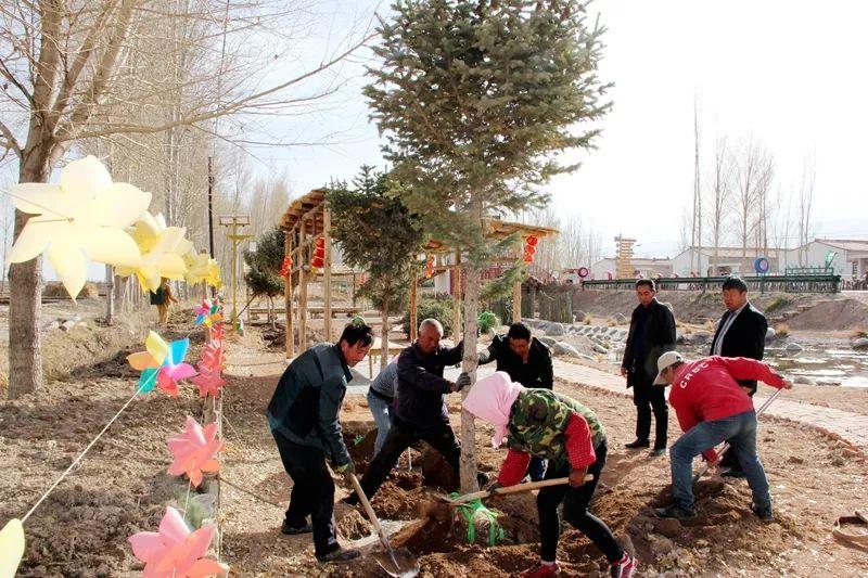 灌水镇最新交通动态报道