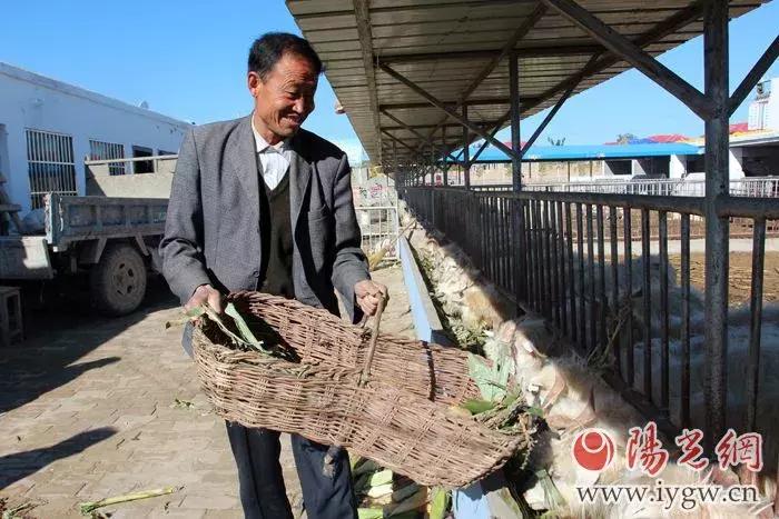 心应为你像死一样沉寂