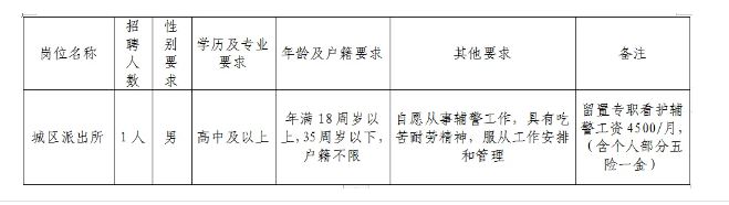 水富县公安局最新招聘资讯解读与概览