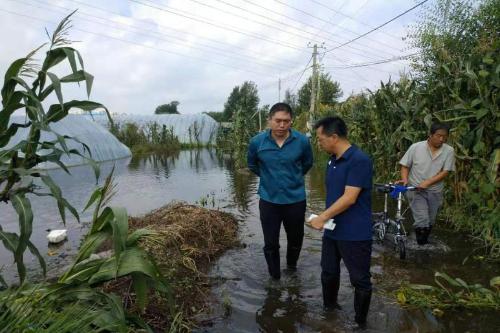 丰满区应急管理局领导团队最新配置，引领与担当之力