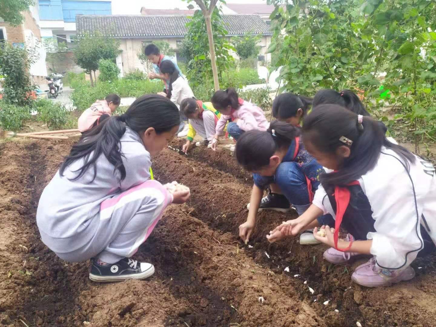 汉阴县小学最新动态报道