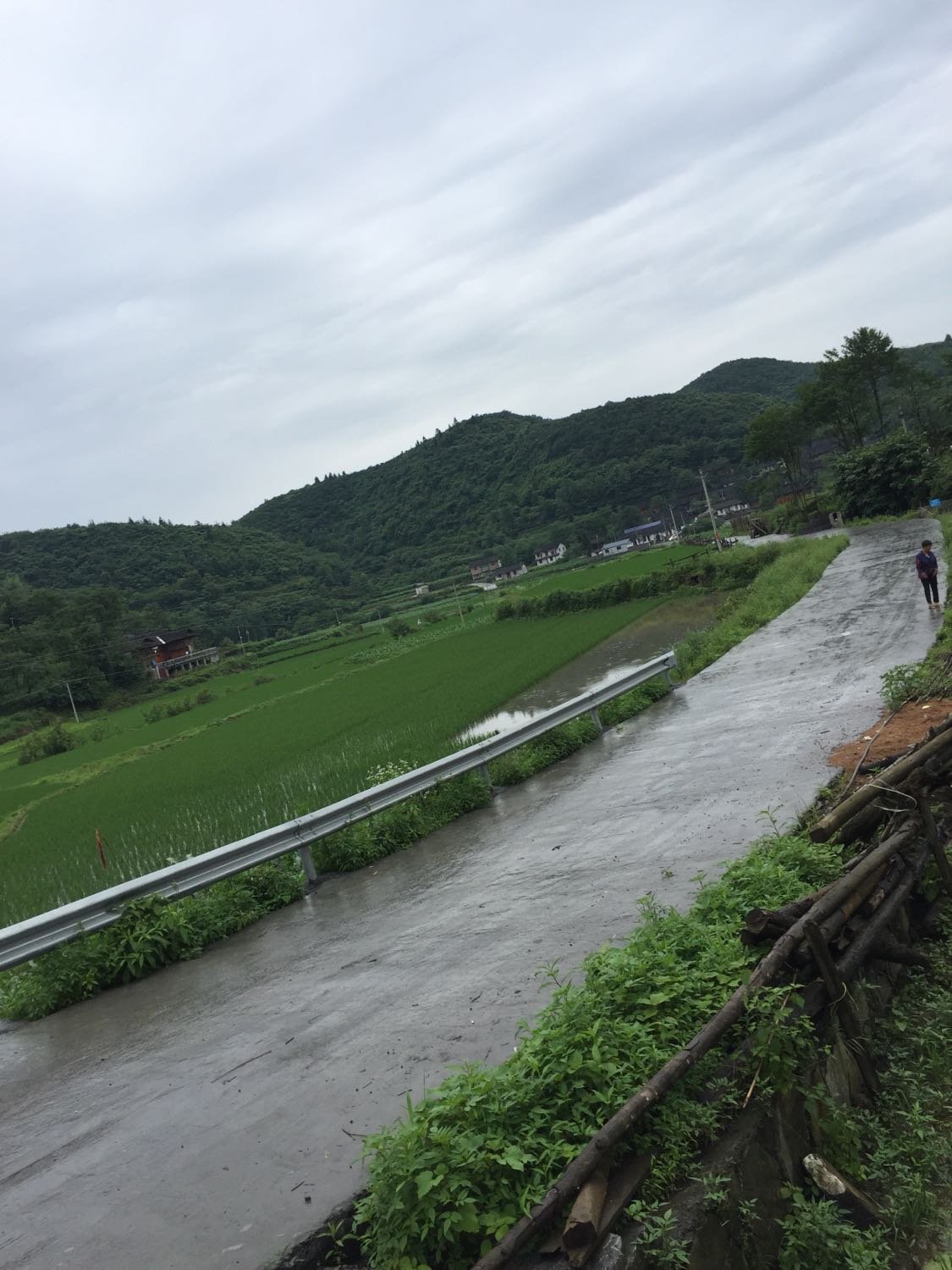 浔溪乡天气预报更新通知