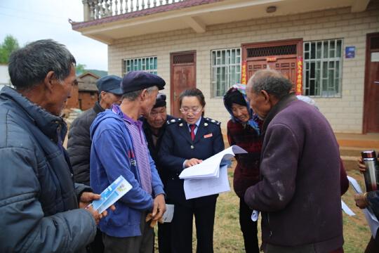 陈家村委会最新动态，乡村发展脉搏与民众参与的深度融合