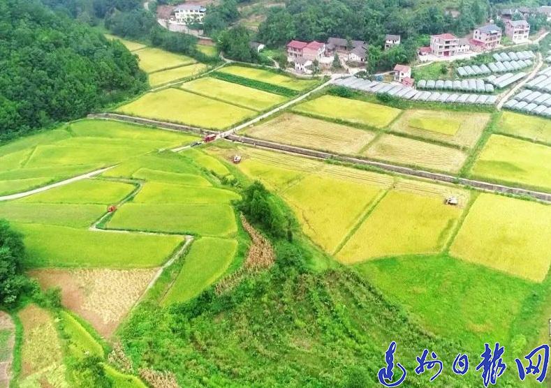 禾驮村民委员会天气预报更新通知